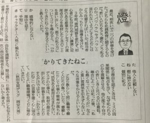 かりてきたねこ読売新聞